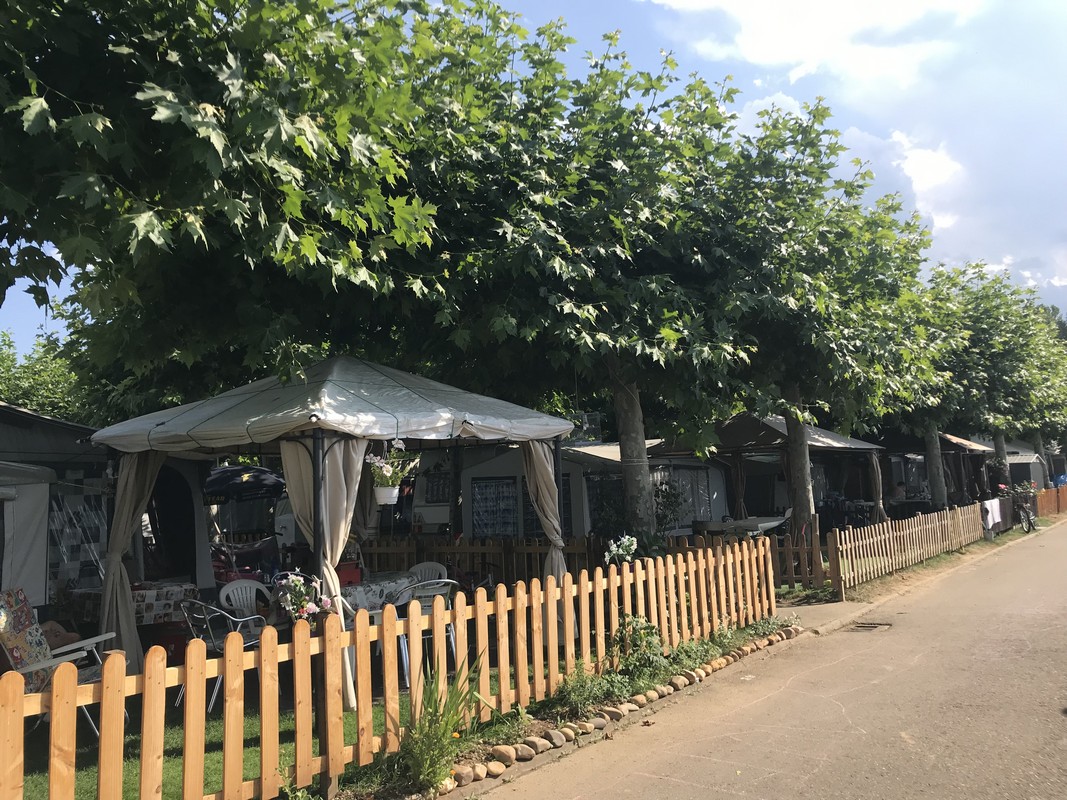 Ruviejo — photo 3